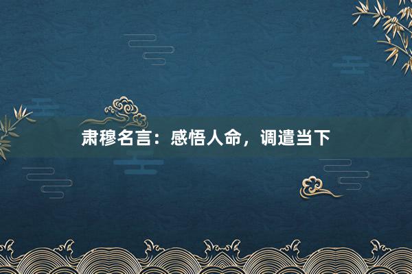 肃穆名言：感悟人命，调遣当下