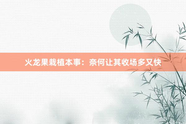 火龙果栽植本事：奈何让其收场多又快