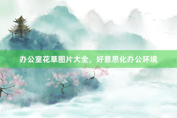 办公室花草图片大全，好意思化办公环境