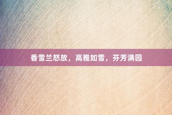 香雪兰怒放，高雅如雪，芬芳满园