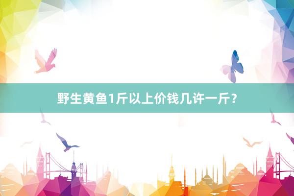 野生黄鱼1斤以上价钱几许一斤？